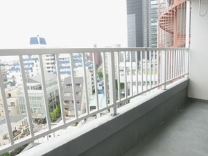 ライオンズマンション南平台１１０５号室 (82).jpg