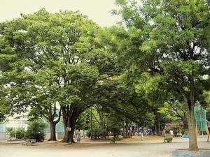 代々木大山公園2.jpg