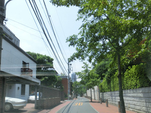 CIMG0056.jpg