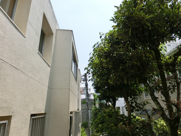 CIMG0090.jpg