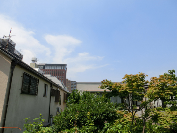 CIMG0114.jpg