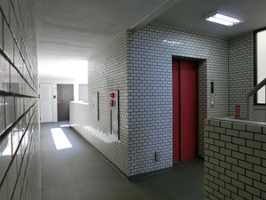 CIMG0237.jpg