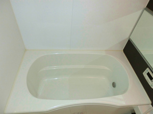 CIMG0305.jpg
