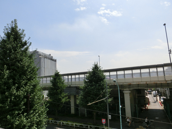CIMG0554.jpg