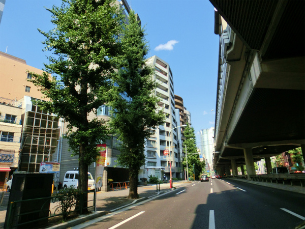 CIMG0668.jpg