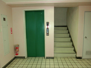 CIMG0674.jpg
