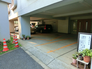 CIMG0754.jpg