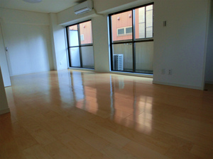 CIMG0778.jpg