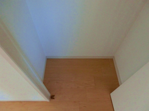 CIMG0788.jpg