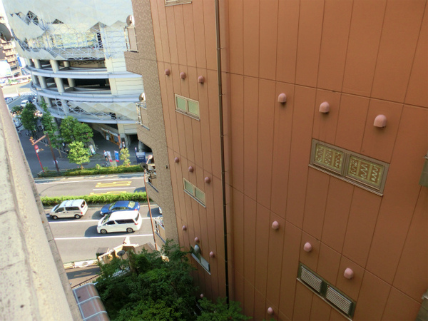 CIMG0795.jpg