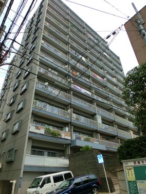 CIMG1202.jpg