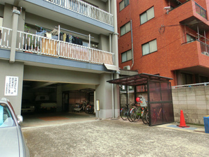 CIMG1203.jpg