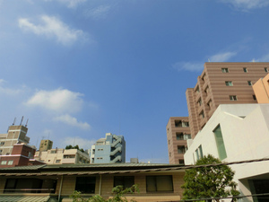 CIMG1563.jpg
