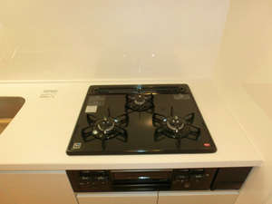 CIMG2010.jpg