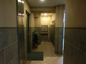 CIMG3900.jpg