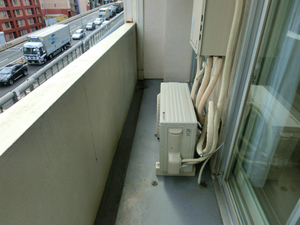 CIMG3948.jpg