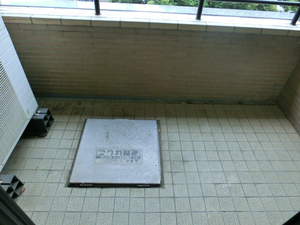 CIMG4233.jpg