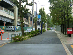CIMG4549.jpg
