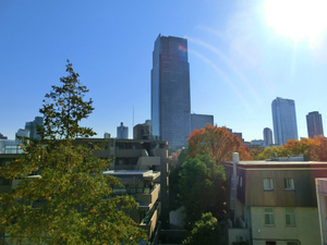 CIMG4811.jpg