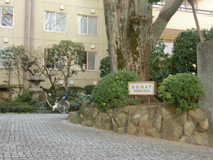 CIMG5004.jpg