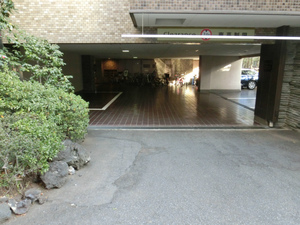 CIMG5077.jpg
