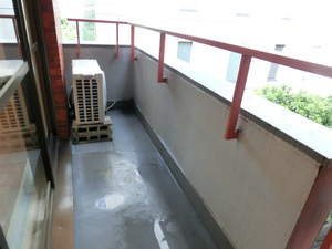 CIMG5844.jpg