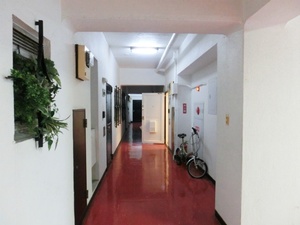 CIMG6505.jpg