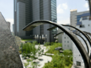 CIMG6563.jpg