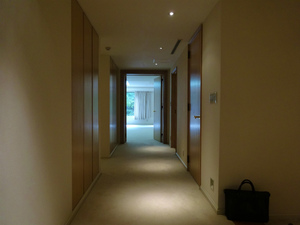 DSC00419.jpg