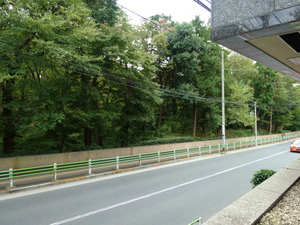 DSC00448.jpg