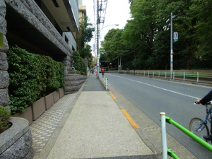 DSC00460.jpg