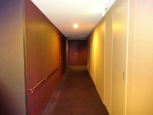 DSC00475.jpg