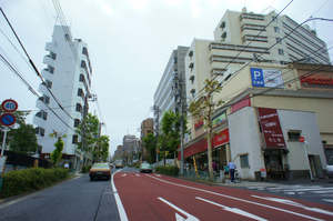 DSC02518.jpg