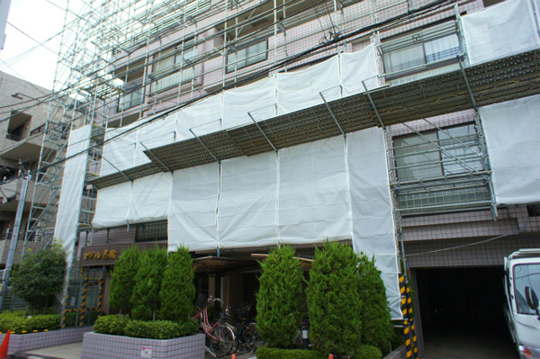 DSC02522.jpg