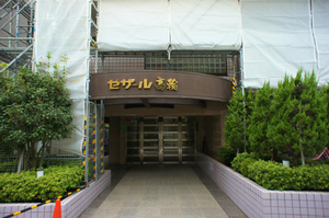 DSC02523.jpg