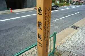 DSC02529.jpg
