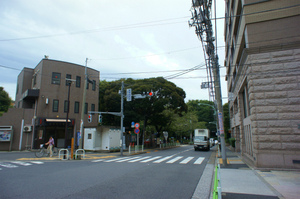 DSC02533.jpg