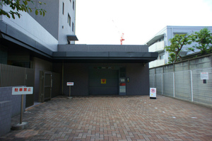 DSC02573.jpg