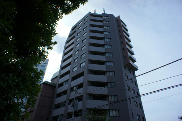 DSC02575.jpg