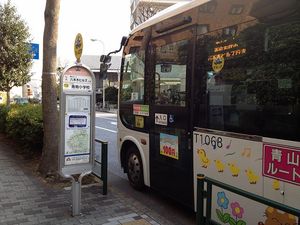 IMG_0852.jpg