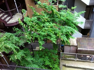 IMG_2193.jpg