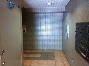 IMG_2356.jpg