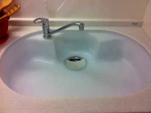 IMG_2772.jpg