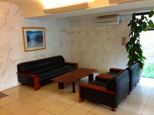 IMG_3520.jpg