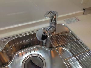 IMG_3564.jpg