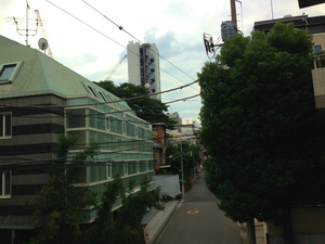 IMG_5653.jpg