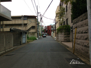 IMG_5674.jpg