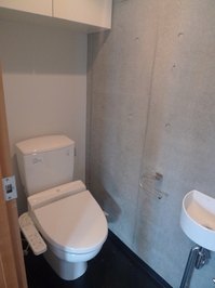 LSI13030495.jpg
