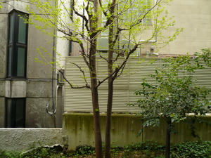 P1060221.JPG