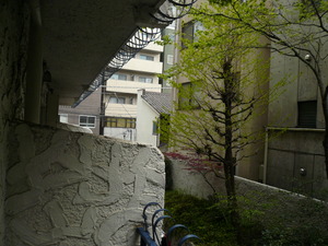 P1060222.JPG